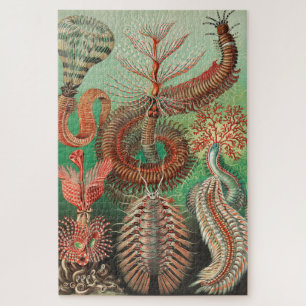 Wormen, Annelids Chaetopoda, door Ernst Haeckel Legpuzzel