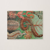 Wormen, Annelids Chaetopoda, door Ernst Haeckel Legpuzzel (Horizontaal)