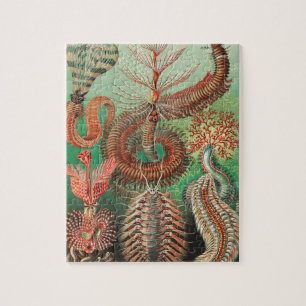 Wormen, Annelids Chaetopoda, door Ernst Haeckel Legpuzzel
