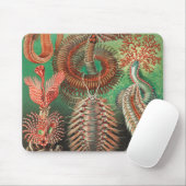 Wormen, Annelids Chaetopoda, door Ernst Haeckel Muismat (Met muis)