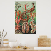 Wormen, Annelids Chaetopoda, door Ernst Haeckel Poster (Keuken)