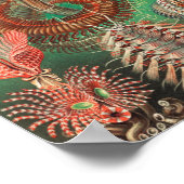 Wormen, Annelids Chaetopoda, door Ernst Haeckel Poster (Hoek)