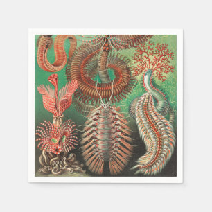 Wormen, Annelids Chaetopoda, door Ernst Haeckel Servet