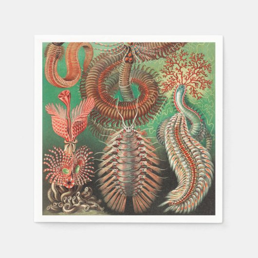 Wormen, Annelids Chaetopoda, door Ernst Haeckel Servet (Voorkant)