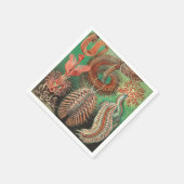 Wormen, Annelids Chaetopoda, door Ernst Haeckel Servet (Hoek)