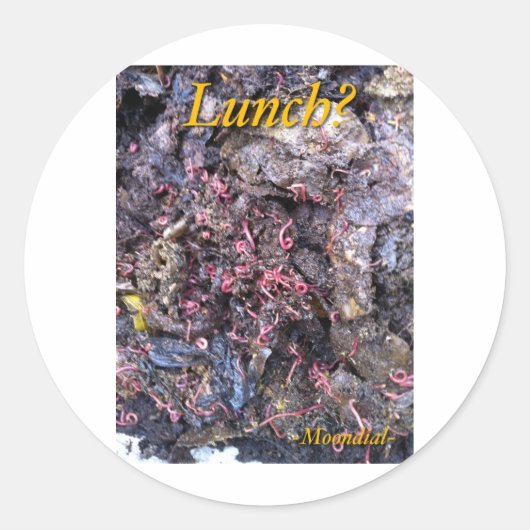 wormfeest ronde sticker (Voorkant)