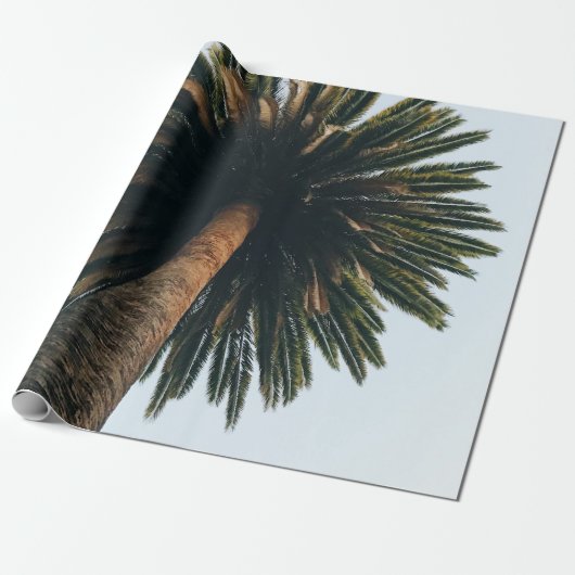 Wormoogfotografie van palmboom cadeaupapier (Uitgerold)