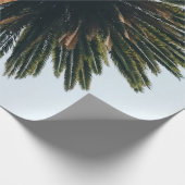 Wormoogfotografie van palmboom cadeaupapier (Hoek)