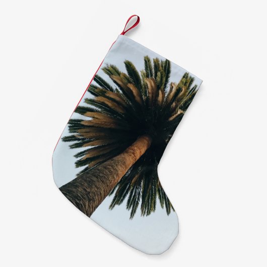 Wormoogfotografie van palmboom kleine kerstsok (Voorkant (Hangend))