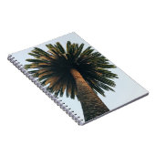 Wormoogfotografie van palmboom notitieboek (Rechterzijde)