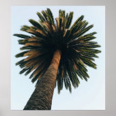 Wormoogfotografie van palmboom poster (Voorkant)