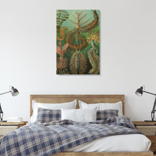  Worms Annelids Chaetopoda door Ernst Haeckel Canvas Afdruk (Insitu (Slaapkamer))