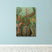  Worms Annelids Chaetopoda door Ernst Haeckel Canvas Afdruk (Insitu (Houten vloer))