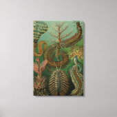  Worms Annelids Chaetopoda door Ernst Haeckel Canvas Afdruk (Voorkant)