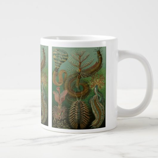 Worms Annelids Chaetopoda door Ernst Haeckel Grote Koffiekop (Rechts)