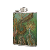 Worms Annelids Chaetopoda door Ernst Haeckel Heupfles (Links)