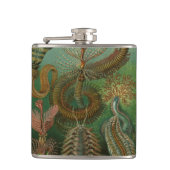 Worms Annelids Chaetopoda door Ernst Haeckel Heupfles (Voorkant)