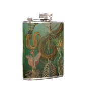 Worms Annelids Chaetopoda door Ernst Haeckel Heupfles (Rechts)