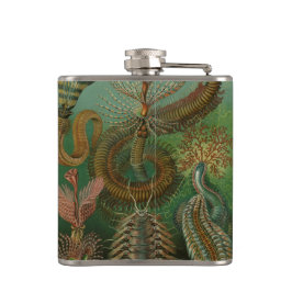 Worms Annelids Chaetopoda door Ernst Haeckel Heupfles