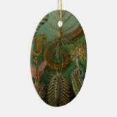  Worms Annelids Chaetopoda door Ernst Haeckel Keramisch Ornament (Rechts)
