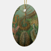  Worms Annelids Chaetopoda door Ernst Haeckel Keramisch Ornament (Links)