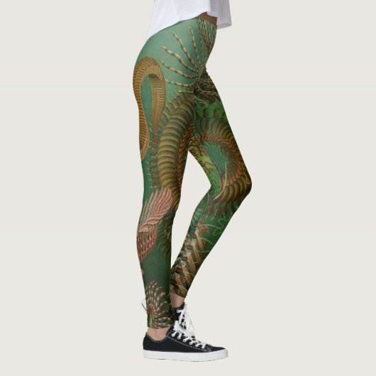  Worms Annelids Chaetopoda door Ernst Haeckel Leggings (Rechts)