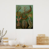  Worms Annelids Chaetopoda door Ernst Haeckel Poster (Keuken)