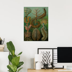  Worms Annelids Chaetopoda door Ernst Haeckel Poster