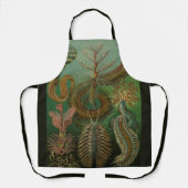 Worms Annelids Chaetopoda door Ernst Haeckel Schort (Voorkant)