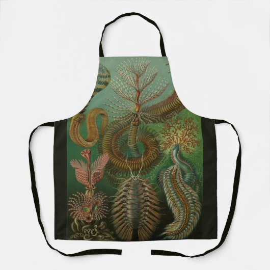  Worms Annelids Chaetopoda door Ernst Haeckel Schort (Voorkant)