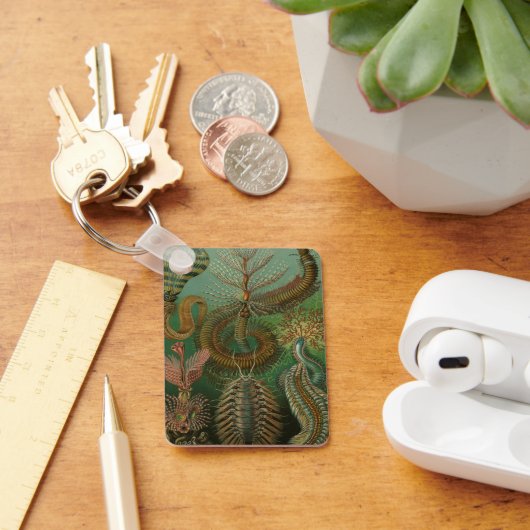  Worms Annelids Chaetopoda door Ernst Haeckel Sleutelhanger (Bureau)