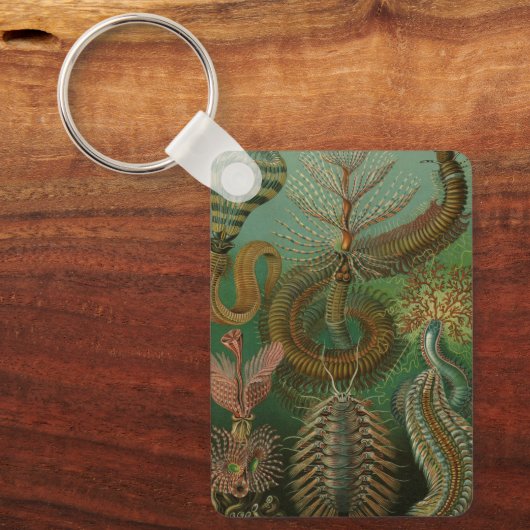  Worms Annelids Chaetopoda door Ernst Haeckel Sleutelhanger (Voorkant)