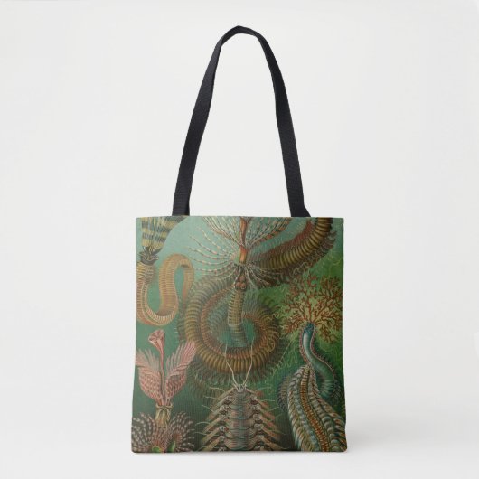  Worms Annelids Chaetopoda door Ernst Haeckel Tote Bag (Voorkant)