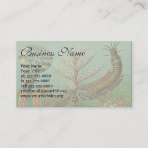  Worms Annelids Chaetopoda door Ernst Haeckel Visitekaartje