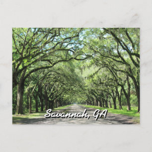 Wormsloe Plantation Savannah Briefkaart