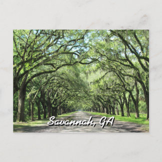 Wormsloe Plantation Savannah Briefkaart
