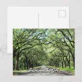 Wormsloe Plantation Savannah Briefkaart (Voorkant / Achterkant)