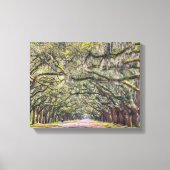 Wormsloe Savannah Canvas Muurkunst 11x14 (Voorkant)