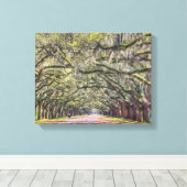 Wormsloe Savannah Canvas Muurkunst 11x14 Afdruk (Insitu (Houten vloer))