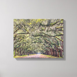 Wormsloe Savannah Canvas Muurkunst 11x14 Afdruk