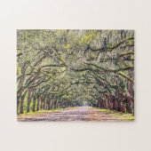 Wormsloe Savannah Oaks uitdagende Souvenir Puzzle Legpuzzel (Horizontaal)