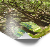 Wormslow Plantation, Savannah, GA Foto Afdruk (Hoek)