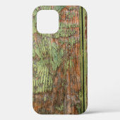Worn and Weathered Green Barn Wood Case-Mate iPhone Case (Achterkant)