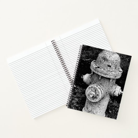 Worn Chipped Rusty Old Fire Hydrant Photograph Notitieboek (Binnen)
