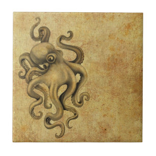 Worn  Octopus Illustratie Tegeltje