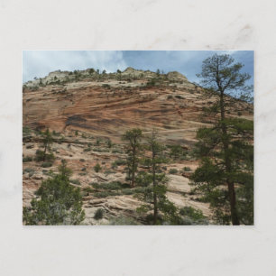 Worn Rock Walls in Zion National Park Briefkaart