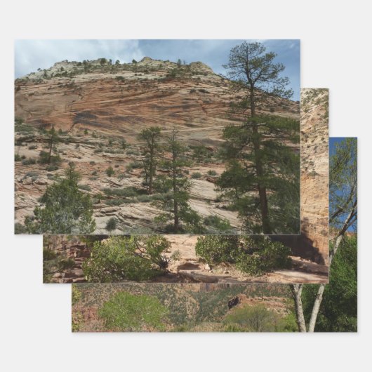 Worn Rock Walls in Zion National Park Inpakpapier Vel (Set)