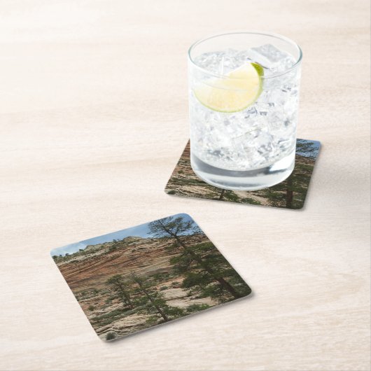 Worn Rock Walls in Zion National Park Kartonnen Onderzetters (Insitu)