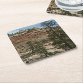 Worn Rock Walls in Zion National Park Kartonnen Onderzetters (Schuin)