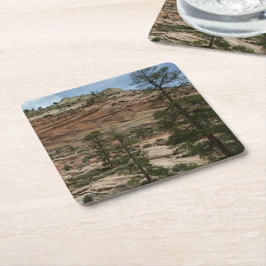 Worn Rock Walls in Zion National Park Kartonnen Onderzetters (Schuin)